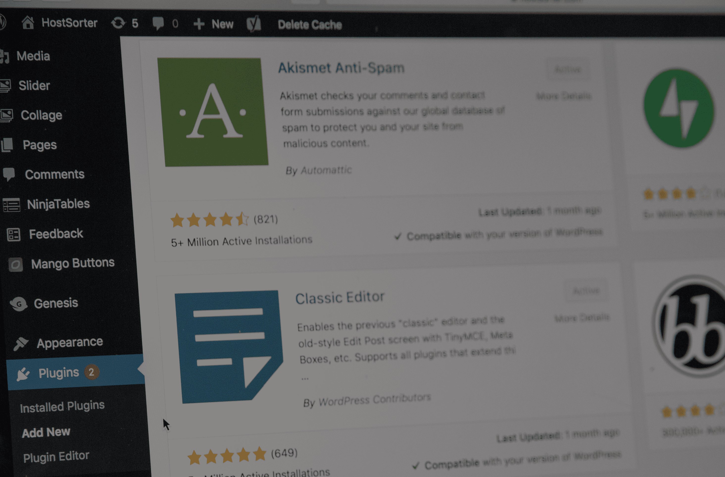 wordpress